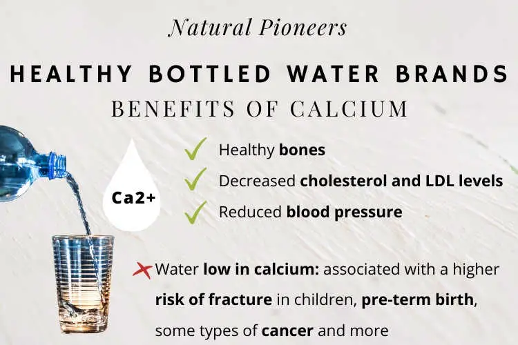 Natural Pioneers Healthy Bottled Water Brands Best 30 In Calcium & Magnesium Benefits of Calcium