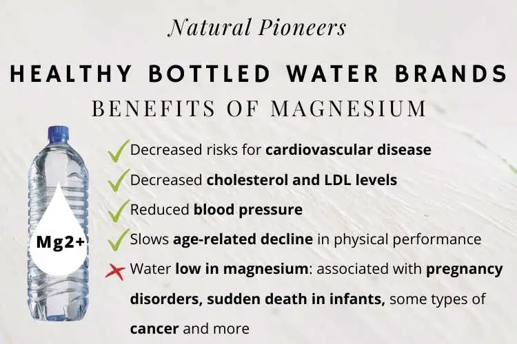 Natural Pioneers Healthy Bottled Water Brands Best 30 In Calcium & Magnesium Benefits of Magnesium