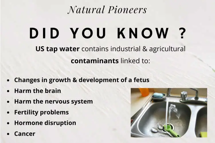 Natural Pioneers How To Drink Healthy Water 5 Steps To Drink The Best Water Tap water contamination