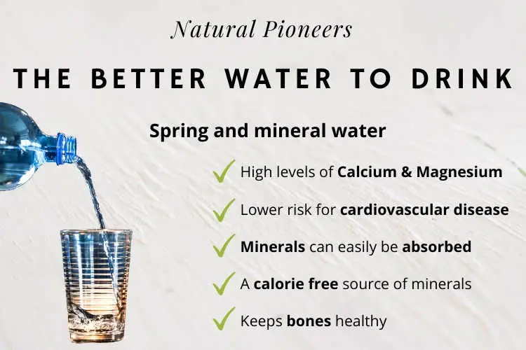Natural Pioneers How To Drink Healthy Water 5 Steps To Drink The Best Water the best water is mineral and spring water