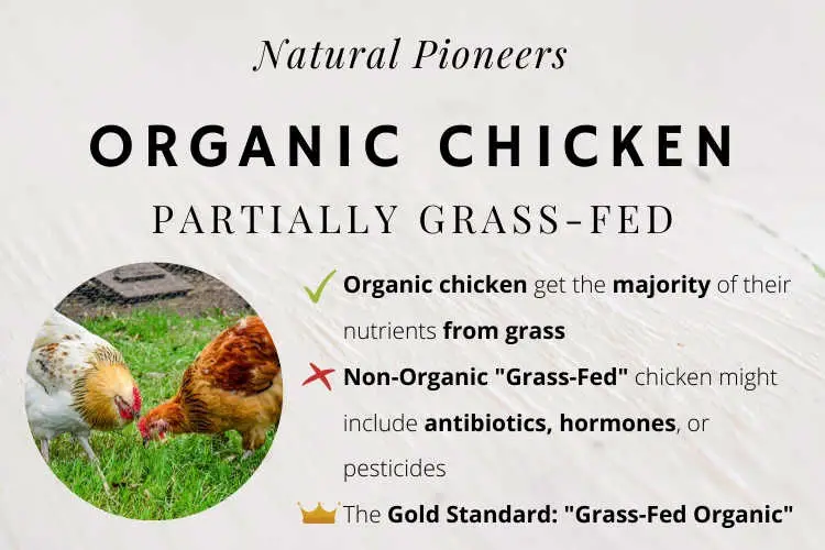 Natural Pioneers What is meant by organic chicken cost price grass-fed pasture