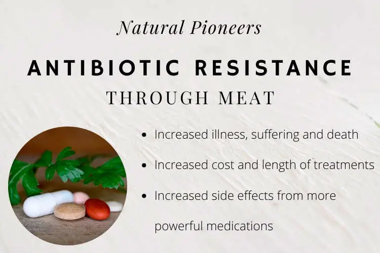Natural Pioneers What is meant by organic chicken cost price hormones antibiotic resistance