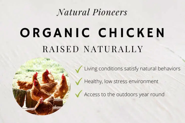 Natural Pioneers What is meant by organic chicken cost price raised naturally outside pasture
