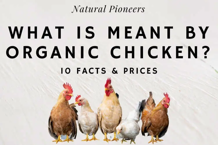 Natural Pioneers What is meant by organic chicken facts & cost price