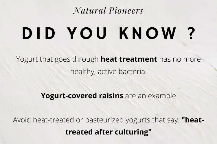 Natural Pioneers Whats the price of natural yogurt prices cost yogurt covered raisins heat yogurt