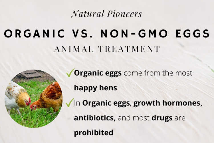 Natural Pioneers Organic vs. Non-GMO eggs Difference Price Cost Comparison Happy hens animal treatment