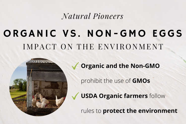 Natural Pioneers Organic vs. Non-GMO eggs Difference Price Cost Comparison environmental impact