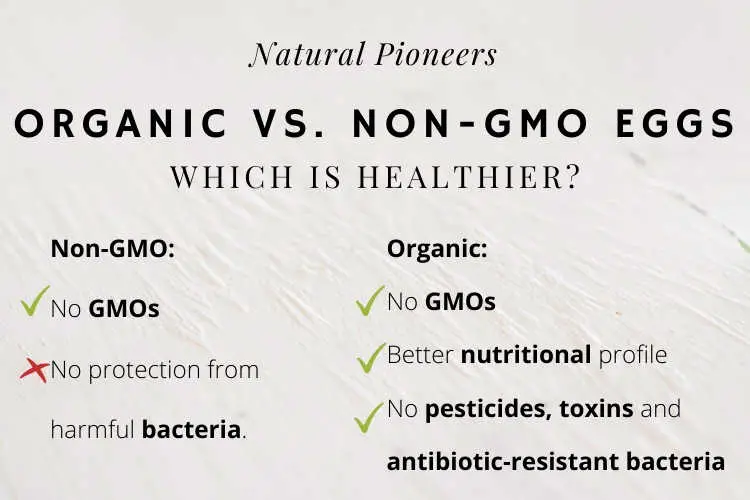 Natural Pioneers Organic vs. Non-GMO eggs Difference Price Cost Comparison what is healthier nutrition calories