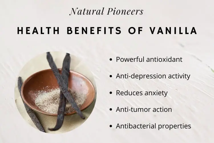 Natural Pioneers Best In Vanilla Natural Organic Whey Protein Powder Benefits of Vanilla