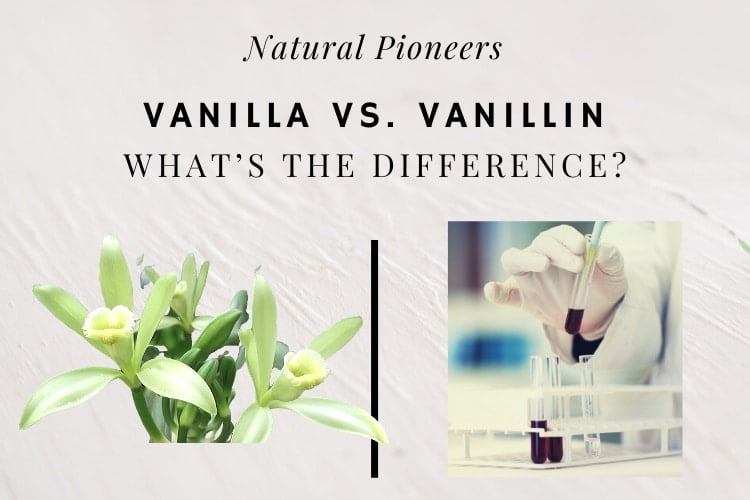 Natural Pioneers Vanilla vs vanillin whats the difference
