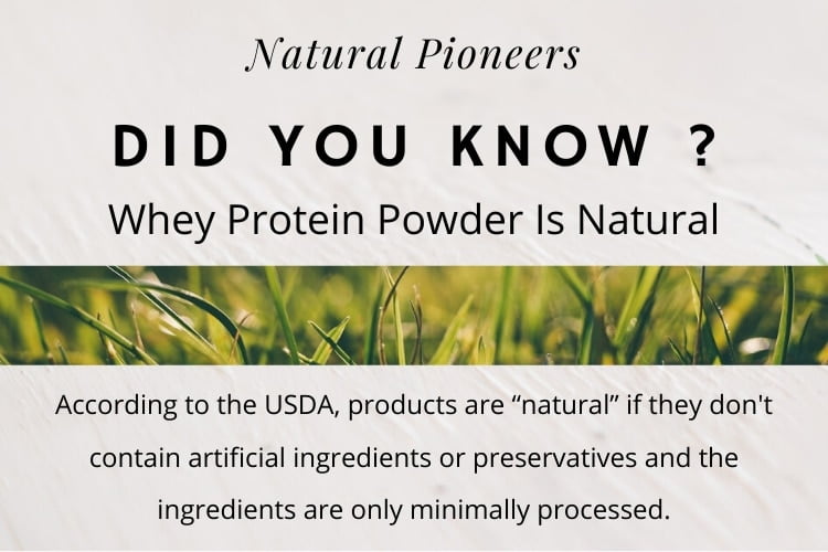 Natural Pioneers What is Natural Protein Powder Facts You Should Know is whey protein powder natural yes whey is natural
