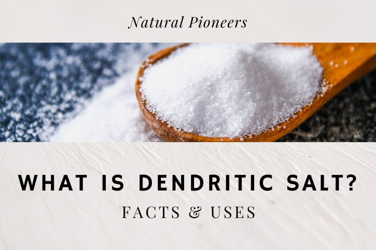 Natural Pioneers What is dendritic salt Facts and Uses