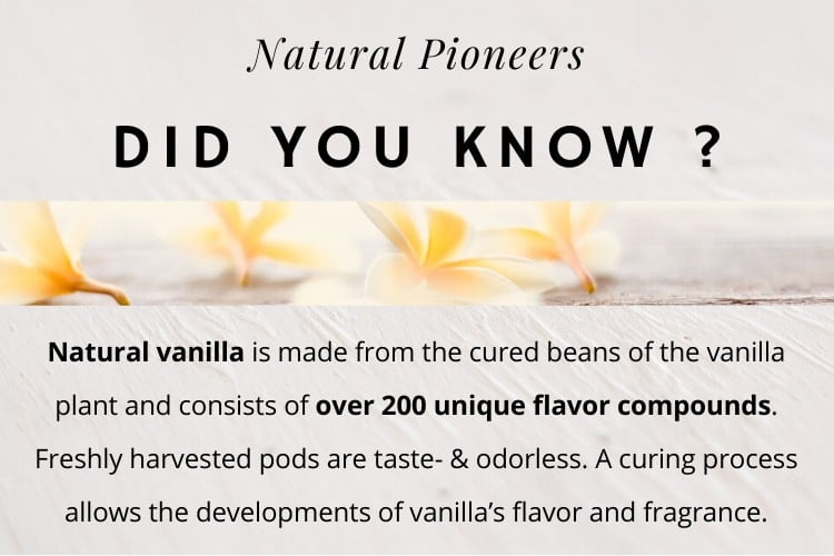 Natural vanilla health benefits aroma flavor compounds beans are tasteless curing