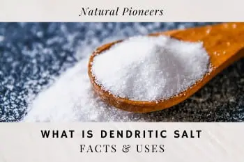 Thumbnail Natural Pioneers What is dendritic salt Facts and Uses