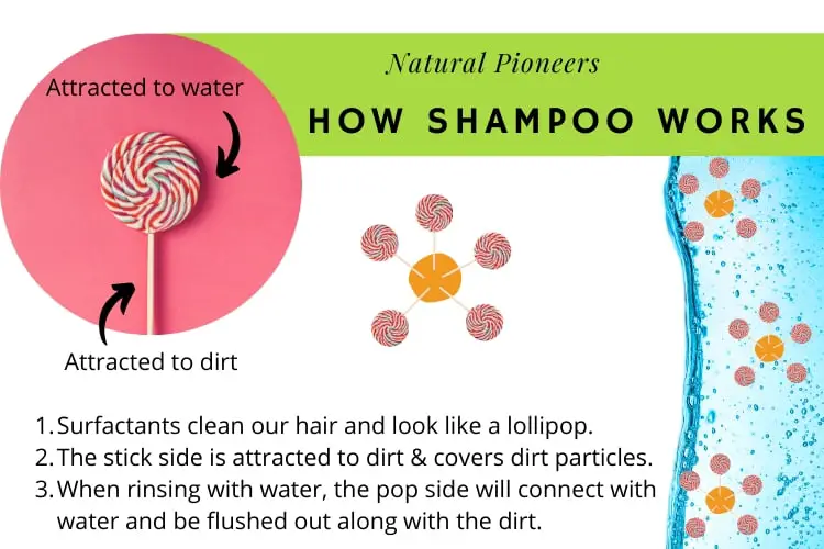 Natural Pioneers How does shampoo work - surfactants are cleaning agents