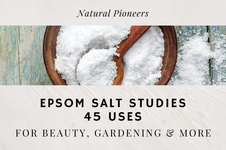 Natural Pioneers Epsom Salt 45 Uses For Beauty Gardening and more