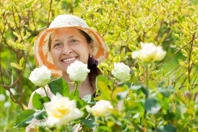 Natural Pioneers Epsom Salt Helps Roses Grow