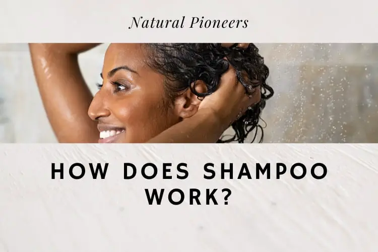 Natural Pioneers How Does Shampoo Work