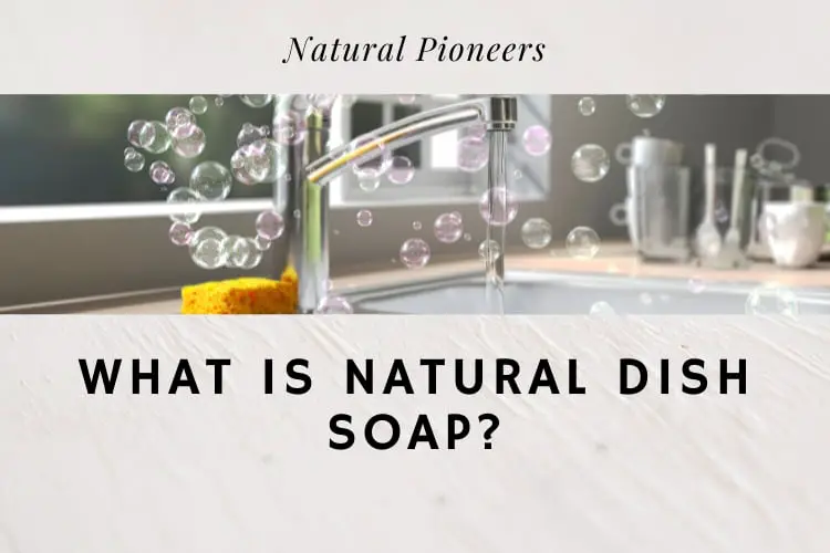 Natural Pioneers What is natural dish soap